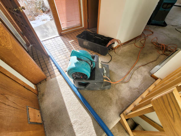Best Carpet water damage restoration  in Manchester, GA