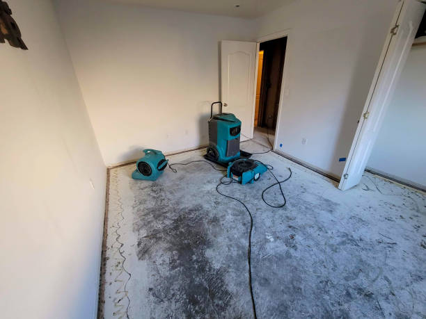 Best 24-hour water damage restoration  in Manchester, GA