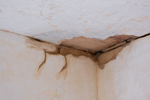 Best Water damage restoration specialists  in Manchester, GA