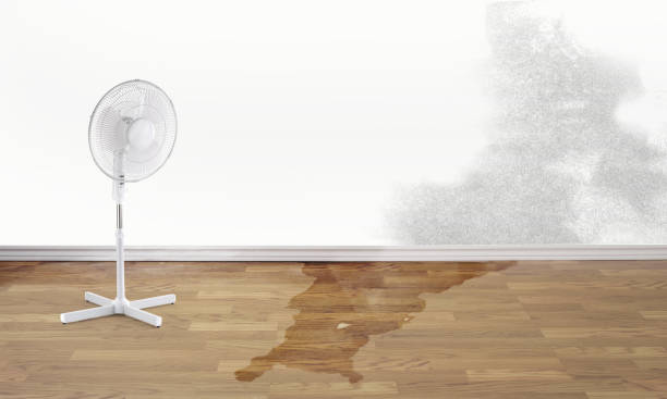 Best Commercial water damage restoration  in Manchester, GA