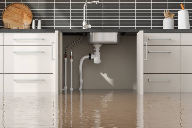 Best Professional water damage repair  in Manchester, GA